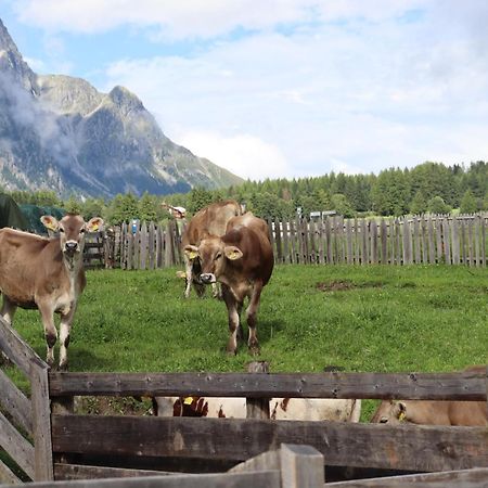 Huberhof Villa San Giuseppe in Anterselva Exteriör bild