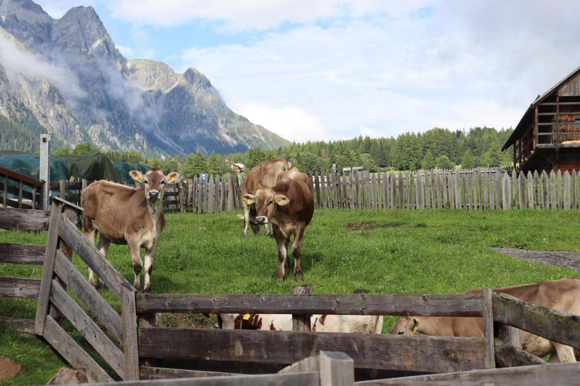 Huberhof Villa San Giuseppe in Anterselva Exteriör bild